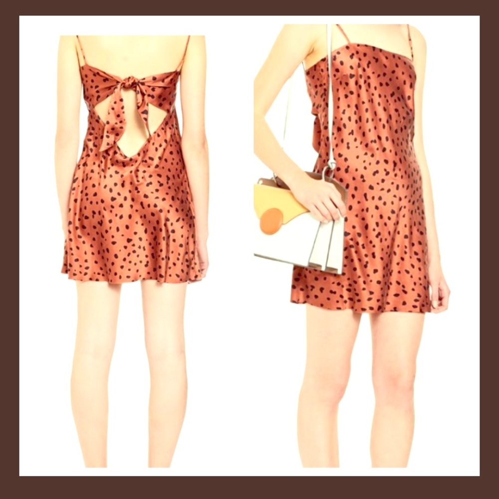 🔥🔥$300 Wild Cat Silk Mini Dress🔥🔥